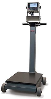 Rice Lake RL1200 IS Intrinsically Safe Electromechanical Portable Beam Scale Rice Lake RL1200 IS Intrinsically Safe Electromechanical Portable Beam Scale